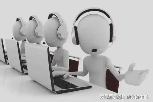 蕓豆花官網(wǎng)客服服務(wù)體系升級，提供全方位用戶信息咨詢服務(wù)